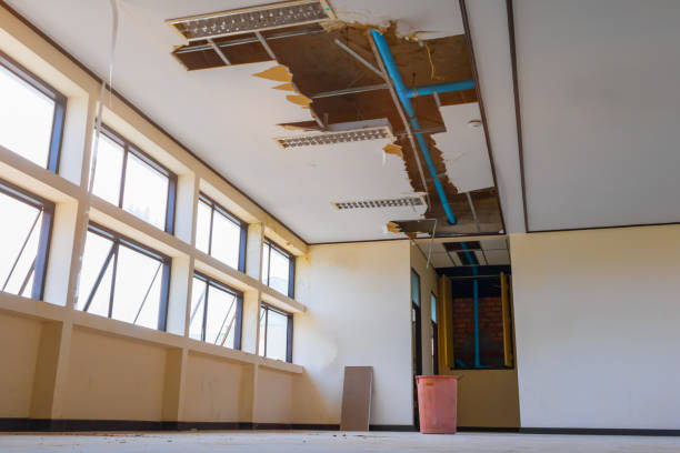 Best 24-hour water damage restoration  in Speer, NC