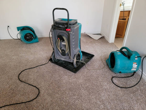 Best Fire Damage Restoration  in Speer, NC