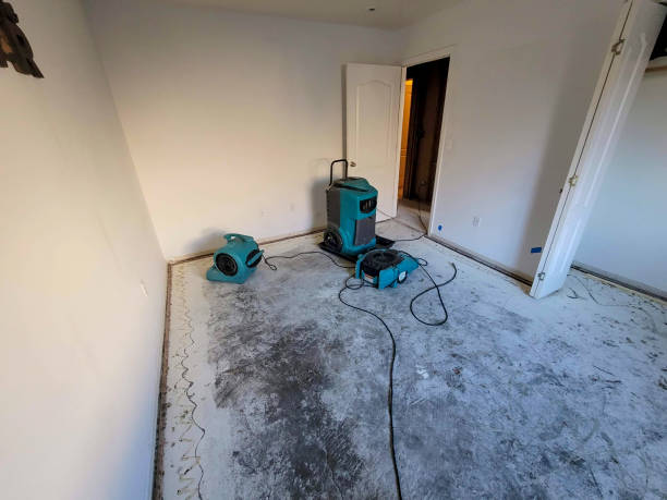 Best Residential water damage restoration  in Speer, NC