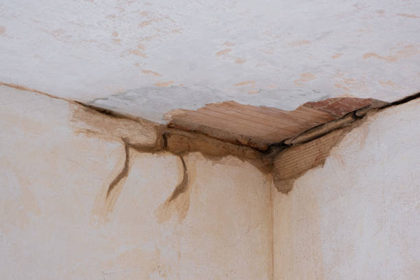Best Local water damage restoration  in Speer, NC