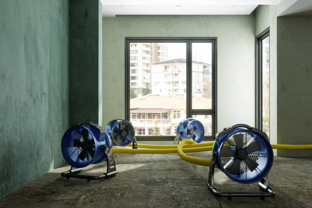 Best Water damage restoration near me  in Speer, NC